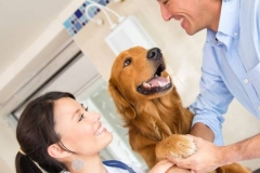 pet checkup